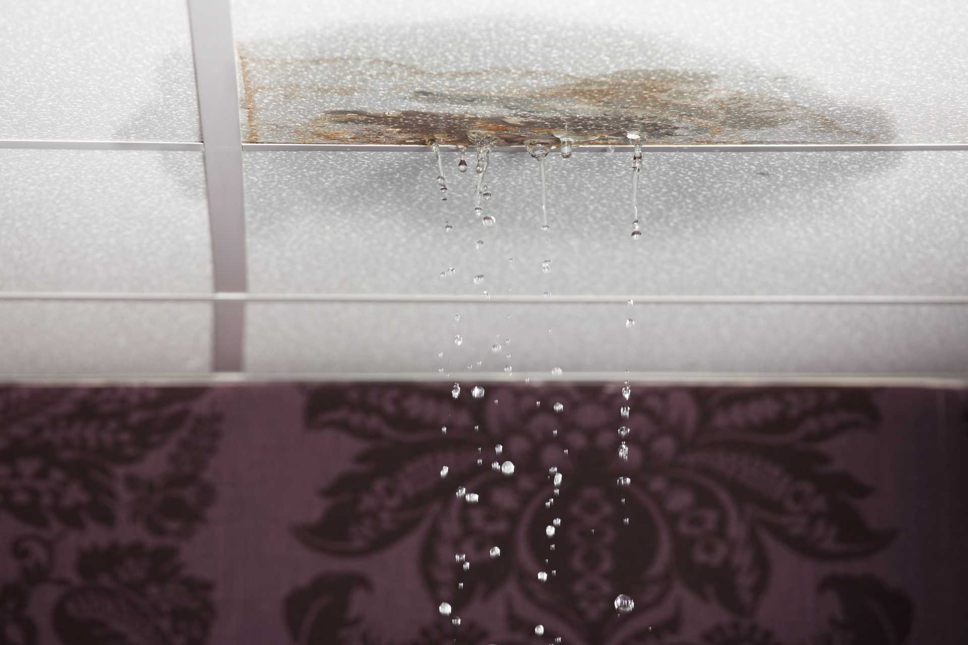 Protect Your Home with Expert Roof Leak Repairs - Belmar Roofing