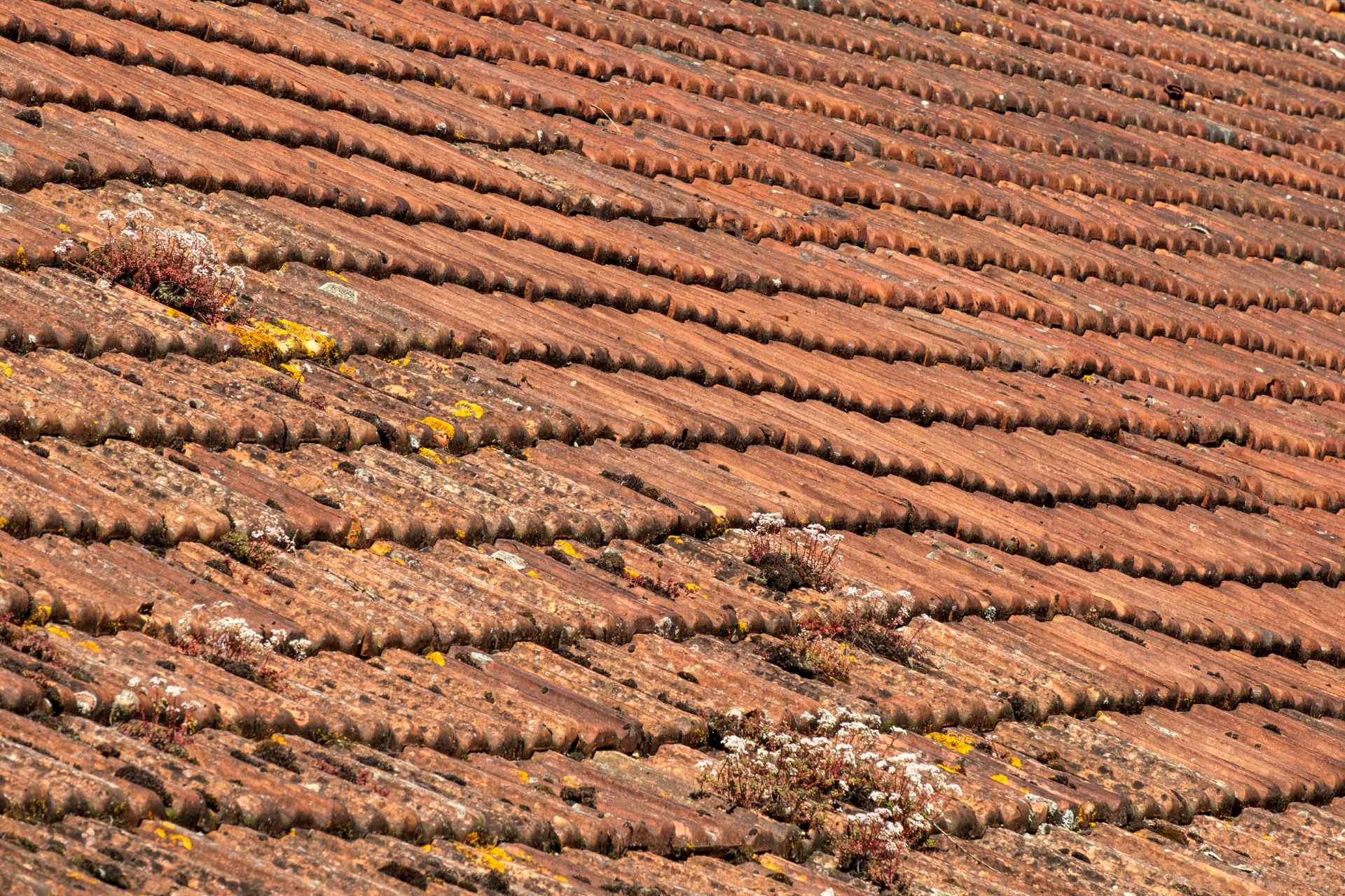 The Unseen Dip: How to Spot, Fix, and Prevent Roof Sagging on Asphalt Shingles - Belmar Roofing